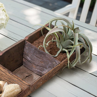 Recycled Wood Succulent Tray