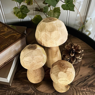 Whimsical Wooden Mushrooms, Set of 3