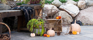 Beyond the Patch: Fresh Ideas for Fall Decorating