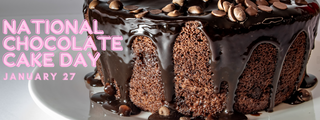 We're Celebrating National Chocolate Cake Day: Check Out These Easy Recipes That Require ONE Bowl!