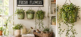 What Is the Steal Seal? Inside the Standards Behind Every Decor Steals Find