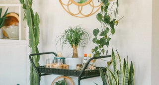 Great Bar Cart Ideas to Use When Entertaining