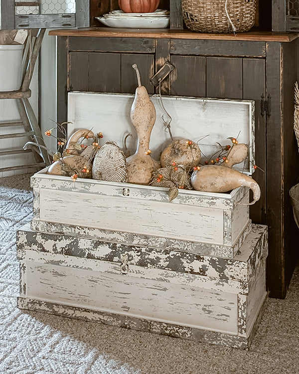 Chippy White Storage Trunks, Set of 2
