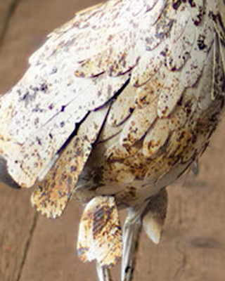 Distressed White Metal Turkeys, Set of Two
