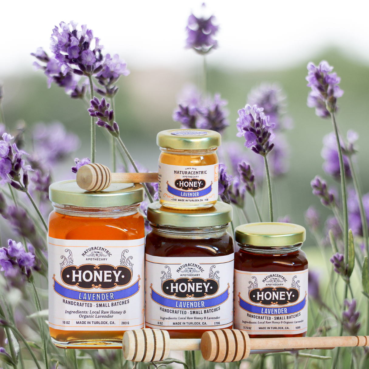 honey lavender plant Lavender Infused Honey Large ( 10 oz)