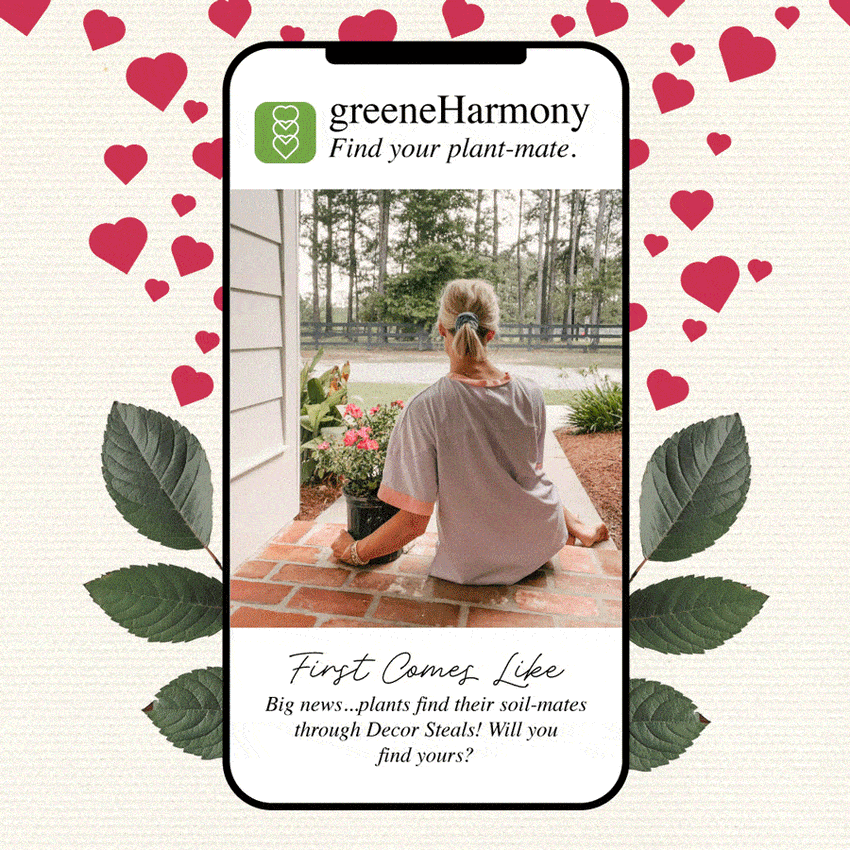 Live Plants, Flowers, Trees Decor Steals