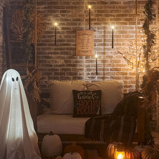 BOGO 50%: THE CELEBRATION COLLECTION HALLOWEEN STEAL IT BOX