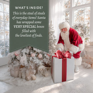 what's inside with santa