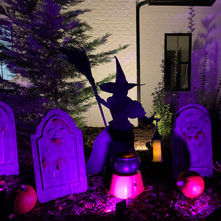 5 Foot Tall Witch Yard Stake with Lantern Option