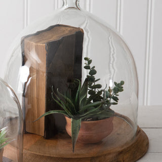 Large Glass Bell Shaped Cloche