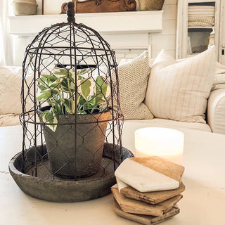 CHICKEN WIRE CLOCHE WITH TERRA COTTA POT AND SAUCER