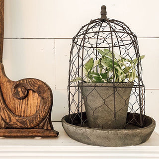Chicken Wire Cloche with Terra Cotta Pot and Saucer