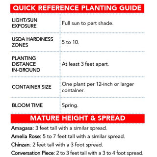 Trade Gallon Azalea Red Information