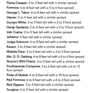 Trade Gallon Azalea Red Information