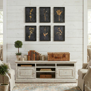 Set of 6 glass-covered botanical prints with pressed flowers in distressed wood frames