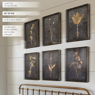 Wall art featuring preserved wildflowers and ferns on charcoal backgrounds, 10x14 inches each