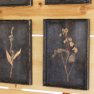Six framed pressed flower prints under glass with rustic distressed finish