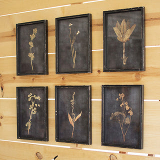 Museum-quality botanical artwork set featuring Queen Anne's lace, ferns, and wildflower stems