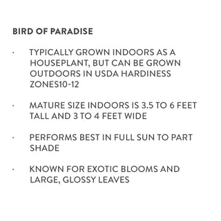 Bird of Paradise Information