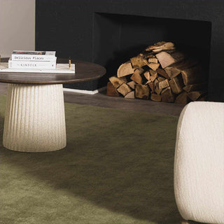 Modern living room with a green rug, fireplace, table, and books.