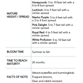 Trade Gallon Buddleia Honeycomb Information