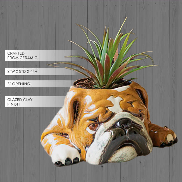 bulldog plant pot English Bulldog Ceramic Planter