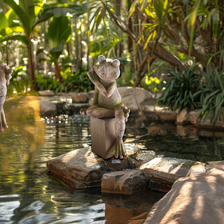 Garden Frog Statue