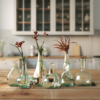 Bottle Bud Vases, Set of 6