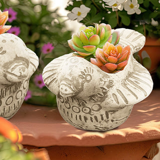Clay Planters