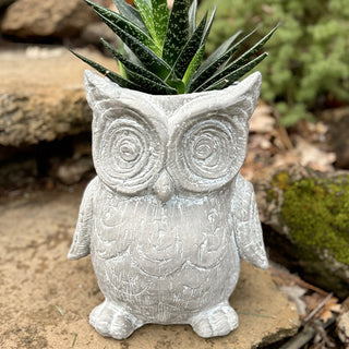 Perched Owl Planter