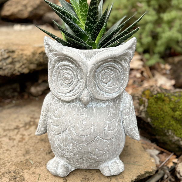 owl succulent planter Perched Owl Planter