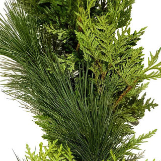 20 Foot Real Mixed Pine Cedar Christmas Garland