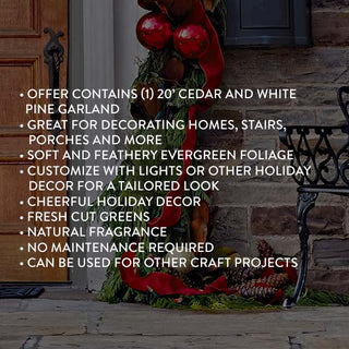 20 Foot Real Mixed Pine Cedar Christmas Garland