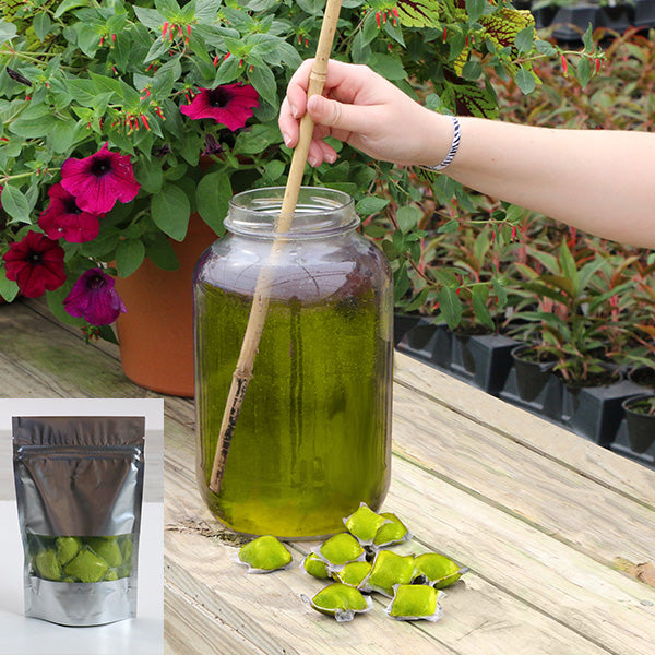 water soluble fertilizer for blooming plants Plant with Purpose Flower Booster Water Soluble Fertilizer - 10 piece