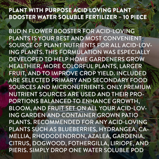 fertilizer acid loving plants Plant with Purpose Acid Loving Plant Booster Water Soluble Fertilizer