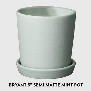 Tropical Cascade Collection, Set of 3