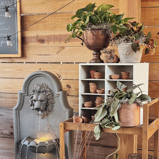 Tropical Cascade Collection, Set of 3