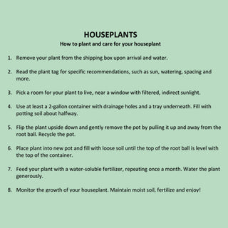 Tropical Cascade Collection, Set of 3