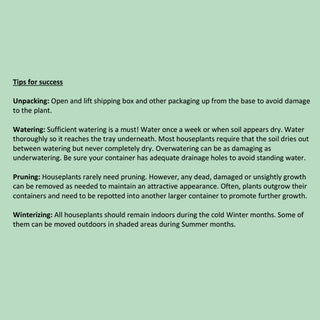 Tropical Cascade Collection, Set of 3