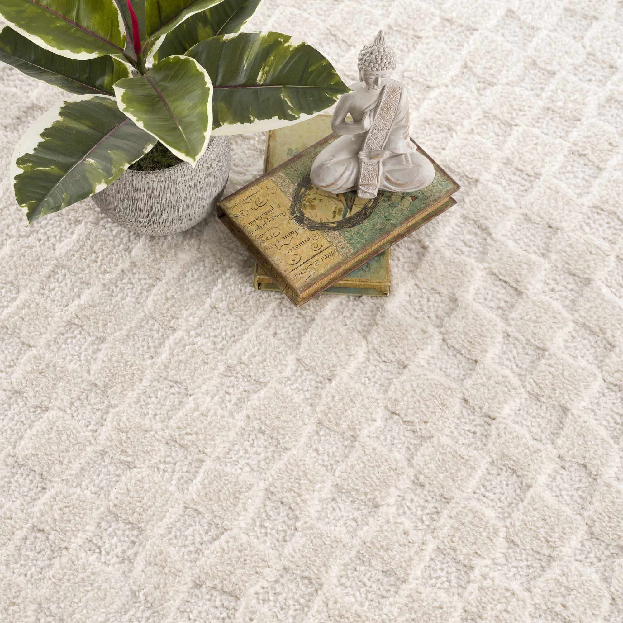 Ivory Area Rug - Decor Steals