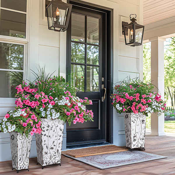 plants to put in tall pots Tall Planters