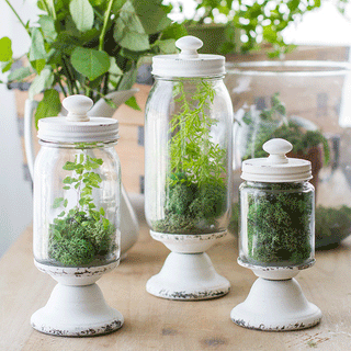 Distressed glass apothecary jars farmhouse decor set