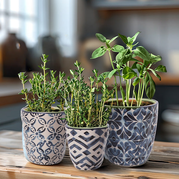 indoor blue plant pots Blue Planters