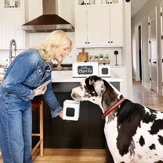 Farmhouse dog treat canisters kitchen counter decor