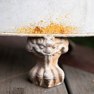 Person holding large oval galvanized metal planter filled with blue hydrangeas