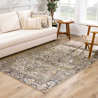 Living room with a sage green patterned rug, beige sofa, and wooden chair.