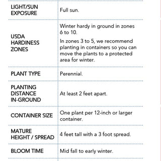 Trade Gallon Pink Muhly Grass Information
