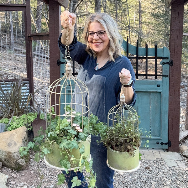 birdcage hanging planter Hanging Metal Rustic Birdcage Planter, Set of Two