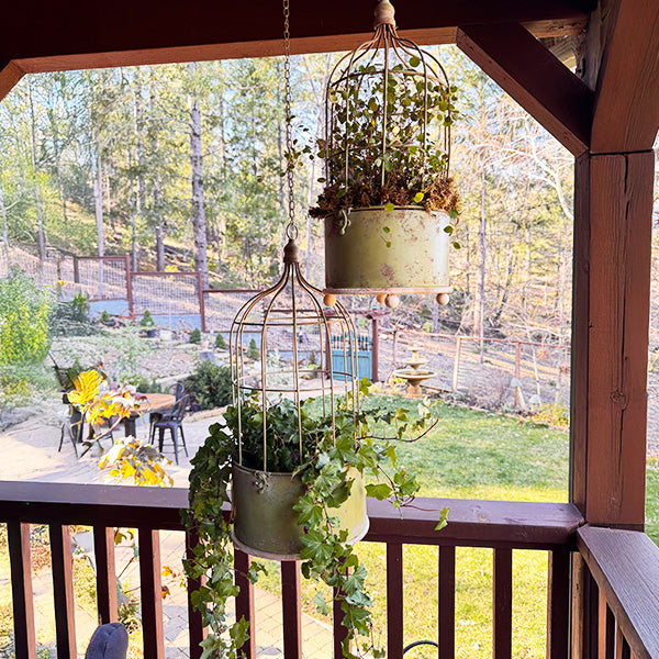 hanging birdcage planter Hanging Metal Rustic Birdcage Planter, Set of Two