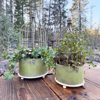 Hanging Metal Rustic Birdcage Planter, Set of Two